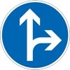 Vorgeschriebene Fahrtrichtung geradeaus/rechts
